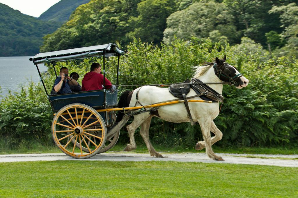 Eviston House Hotel Killarney Exterior foto